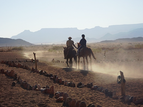 An early morning horse riding experience