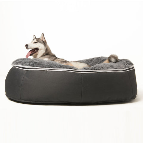 It's a dog's life with Ambient Lounge pet beds