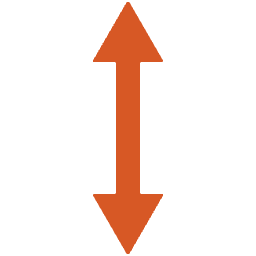 check-icon