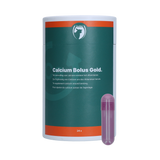 Excellent Calcium Bolus für Schafe und Ziegen, Gold, 24 Stk