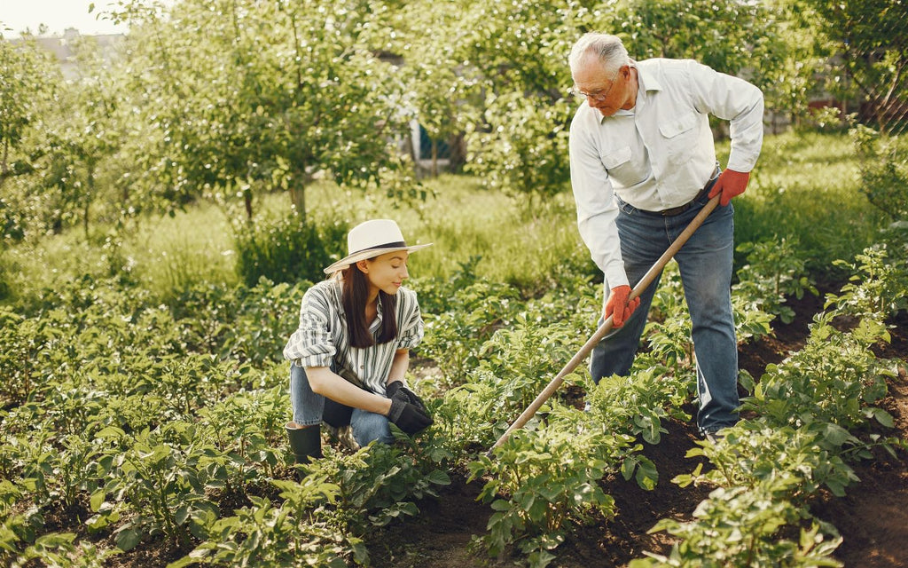 Blue Zones, Gardening, Brentwood Home, Longevity