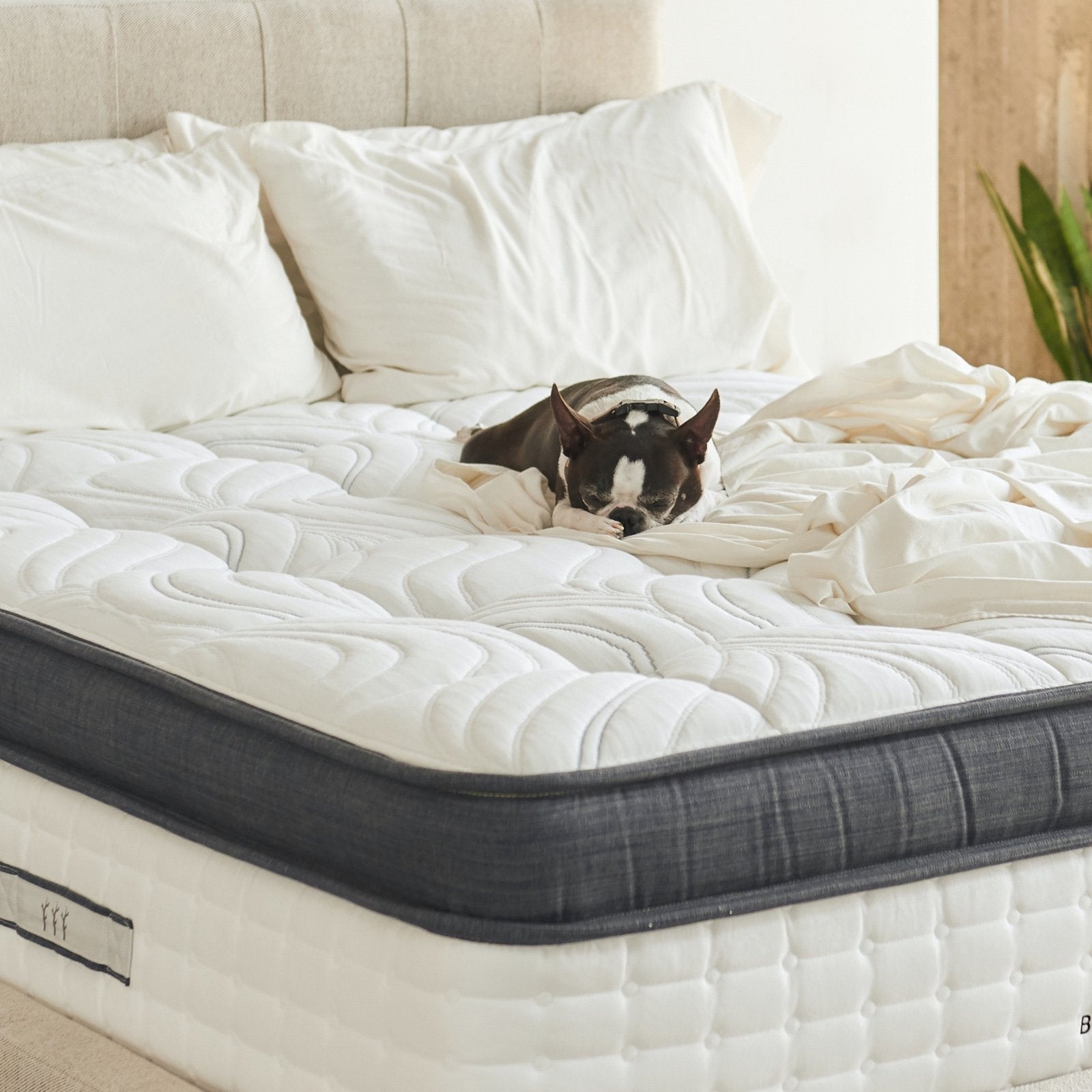 Hybrid Latex Mattress | Latex Mattresses | Brentwood Home Split King