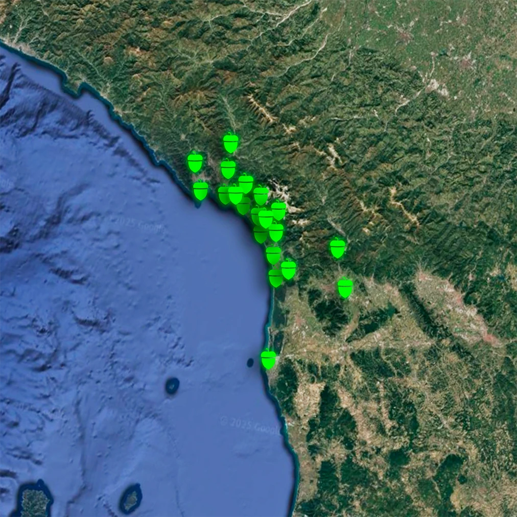 GreenTheory_map.webp__PID:b2cd31ac-bca3-4275-a0a5-25338c0bb65c