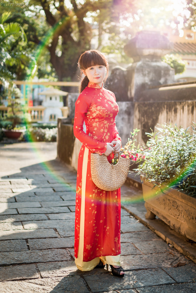 The change of Vietnamese Brides - Dream Dresses by PMN