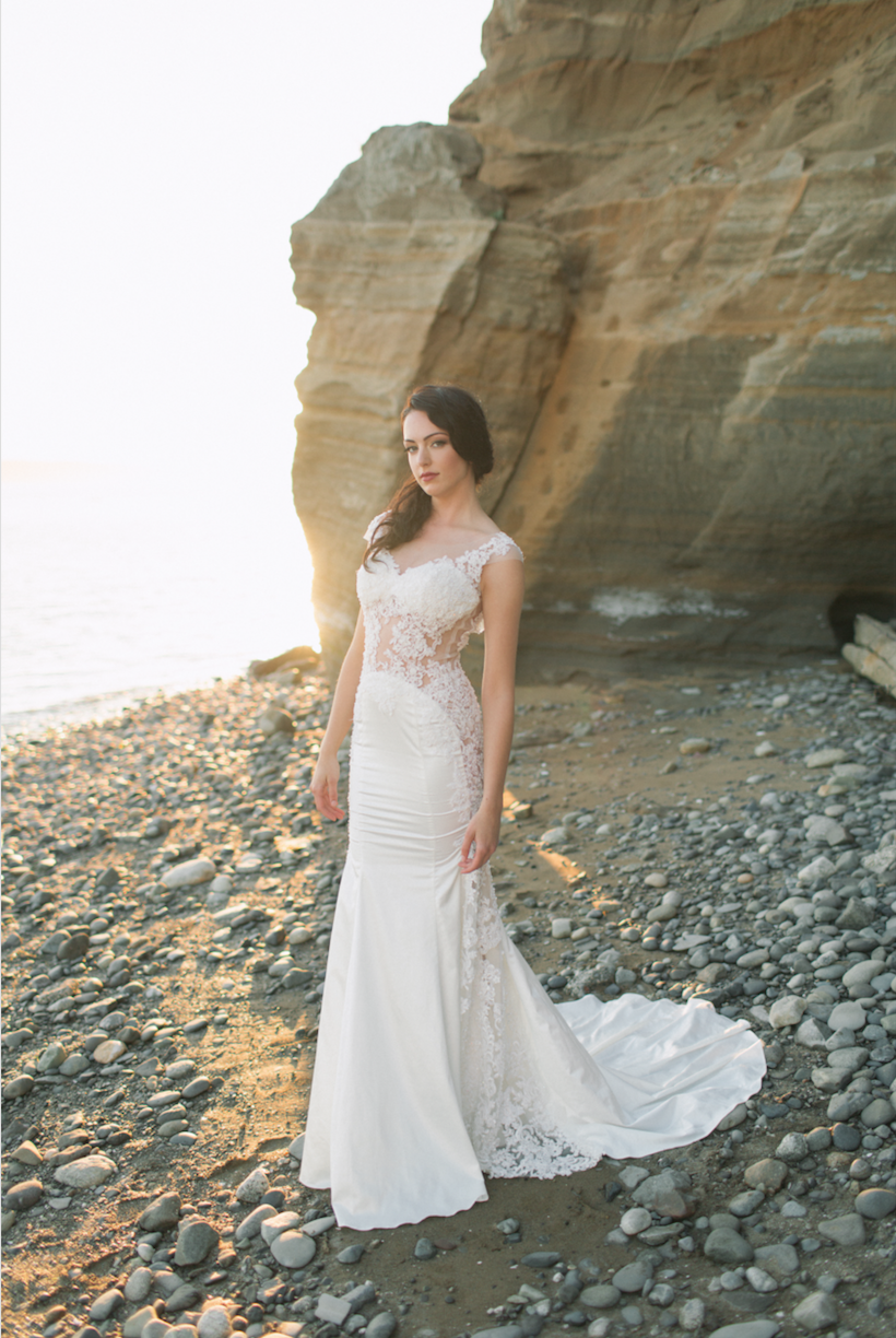 Sheath Lace Wedding Dress Style Ss16314 Dream Dresses By Pmn 