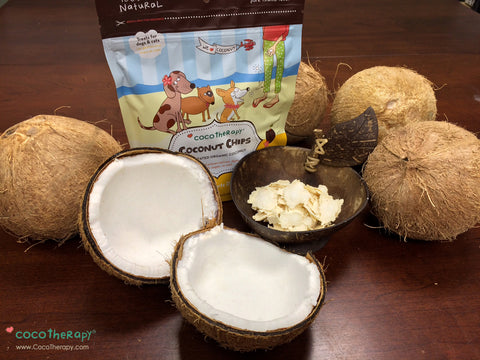 CocoTherapy Coconut Chips