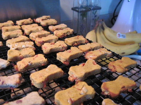 Healthy pet treats CocoTherapy