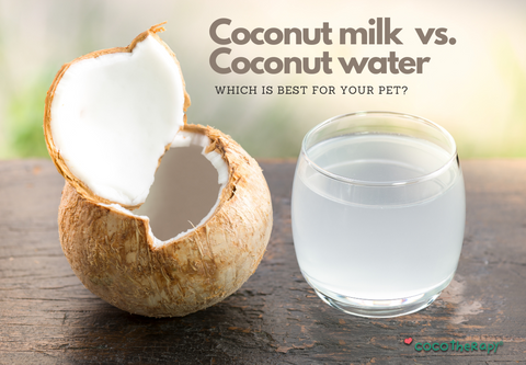 Coconut Milk vs. Coconut Water