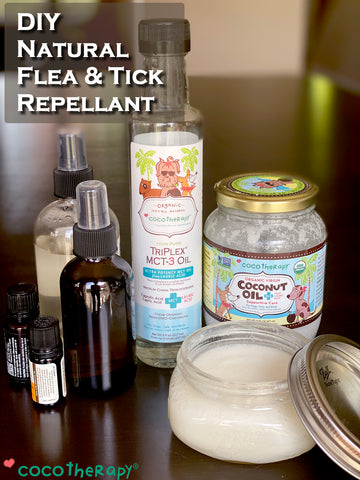 Does Coconut Oil kill fleas? | DIY Coconut Oil Flea & Tick Repellant for dogs
