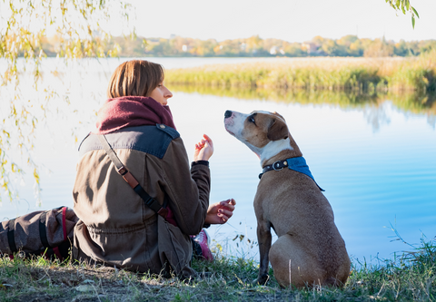 Woman and dog by pond