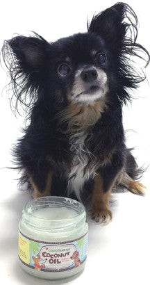CocoTherapy Coconut Oil and dog