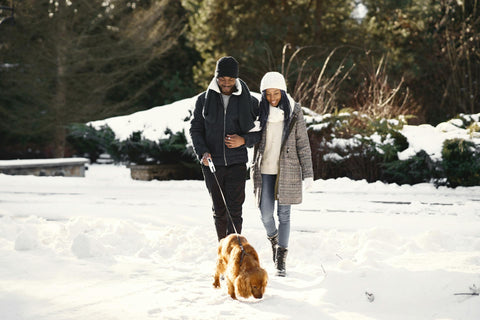 Couple walking dog in the cold weather and snow