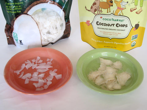 CocoTherapy Coconut Chips vs other chips