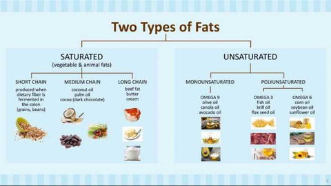saturated fats vs unsaturated fats comparison
