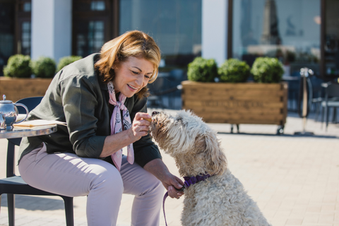 Woman on bench feeding a treat to a dog