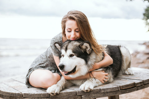 CocoTherapy woman hugging black and white siberian husky