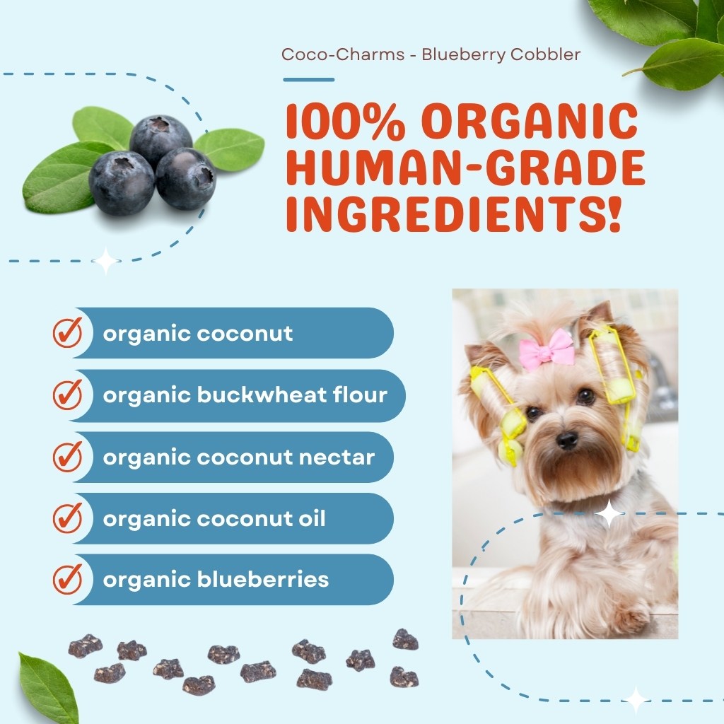 are fresh blueberries bad for dogs