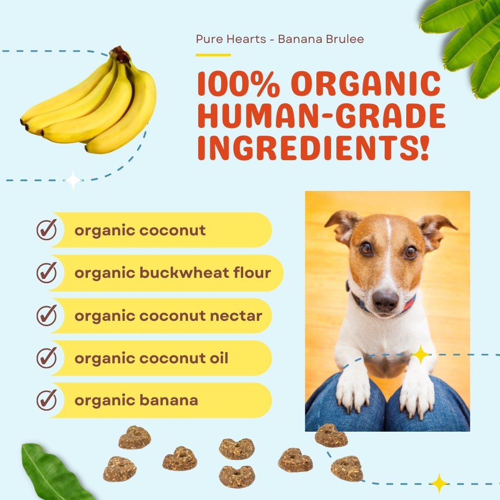 is banana ok for dogs