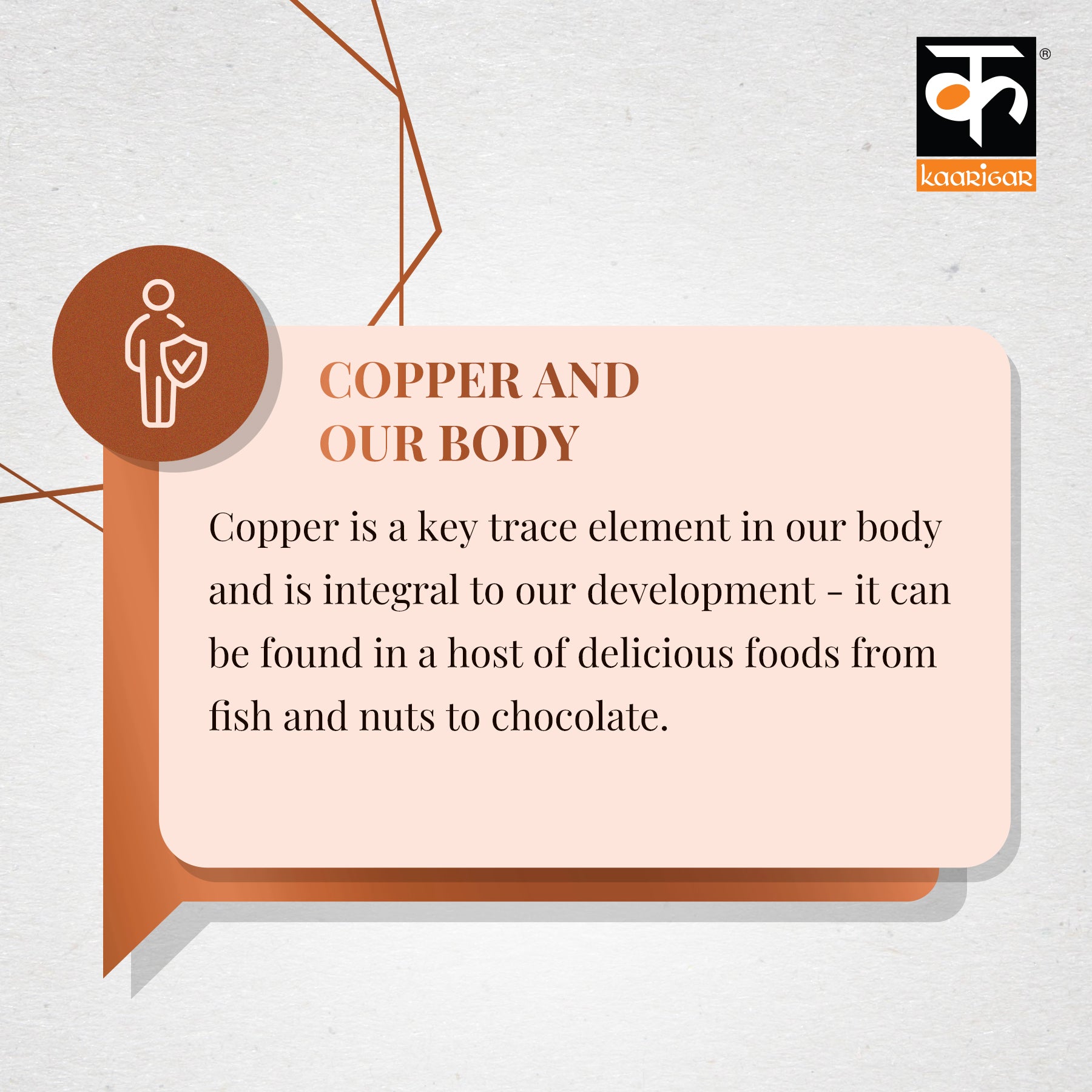 copper in our body