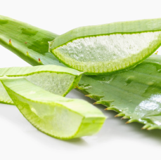 Aloe Leaf Juice Powder-ingredient-img