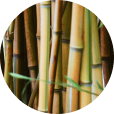 Fine Bamboo-ingredient-img
