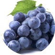 Resveratrol-ingredient-img