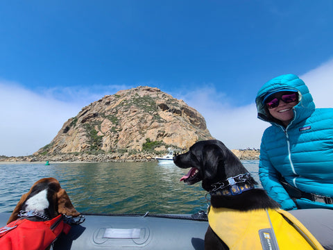 Dogs enjoying the landing craft bow of a True Kit Discovery