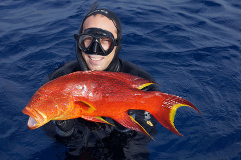 Spearfishing – Fish and Survive LifeJackets