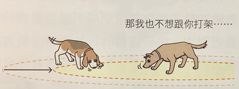 狗狗訓練 嗅聞地面