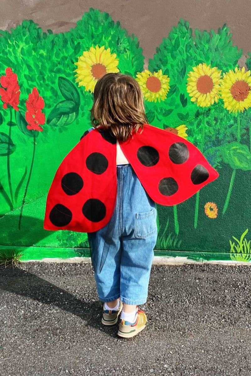 Jack Be Nimble Ladybug Wings Costume at Design Life Kids