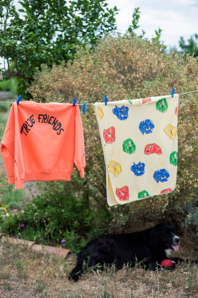 Fresh Dinosaurs True Friends Sweatshirt hanging on a clothesline outside at Design Life Kids