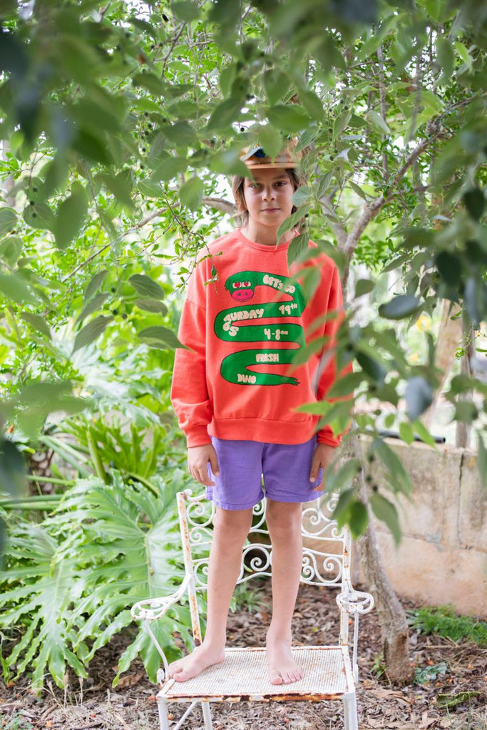 Young Boy in Fresh Dinosaurs Snake Sweatshirt at Design Life Kids
