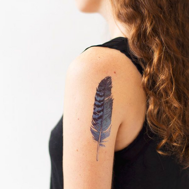 Blue Jay Feather Tattoo Design Life Kids