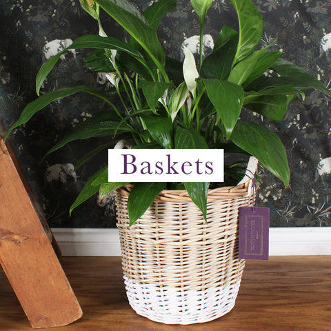 https://www.todhunter.com/collections/baskets-1