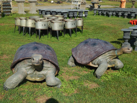 Statue Life Size Realistic Animal Galapagos Tortoise Jantiques