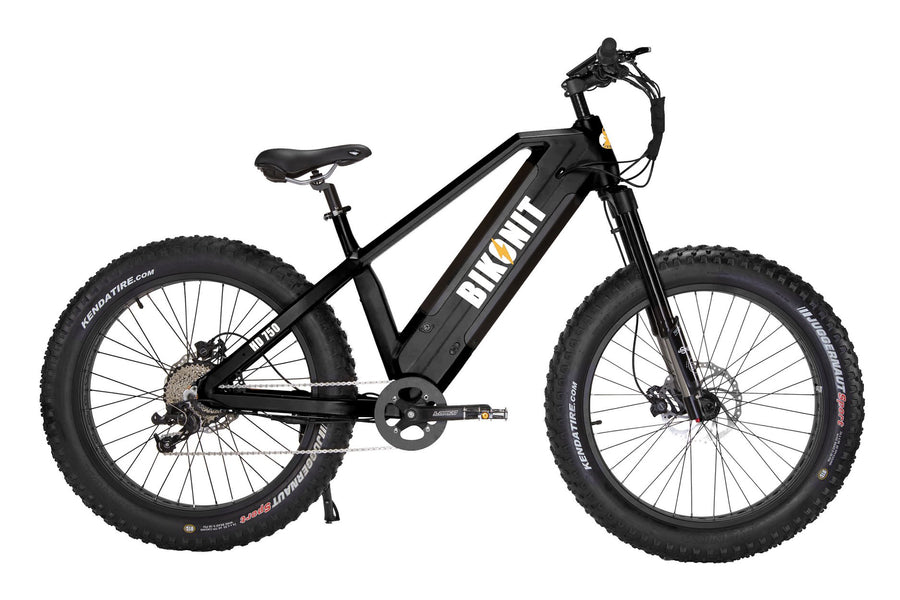 warthog electric bike