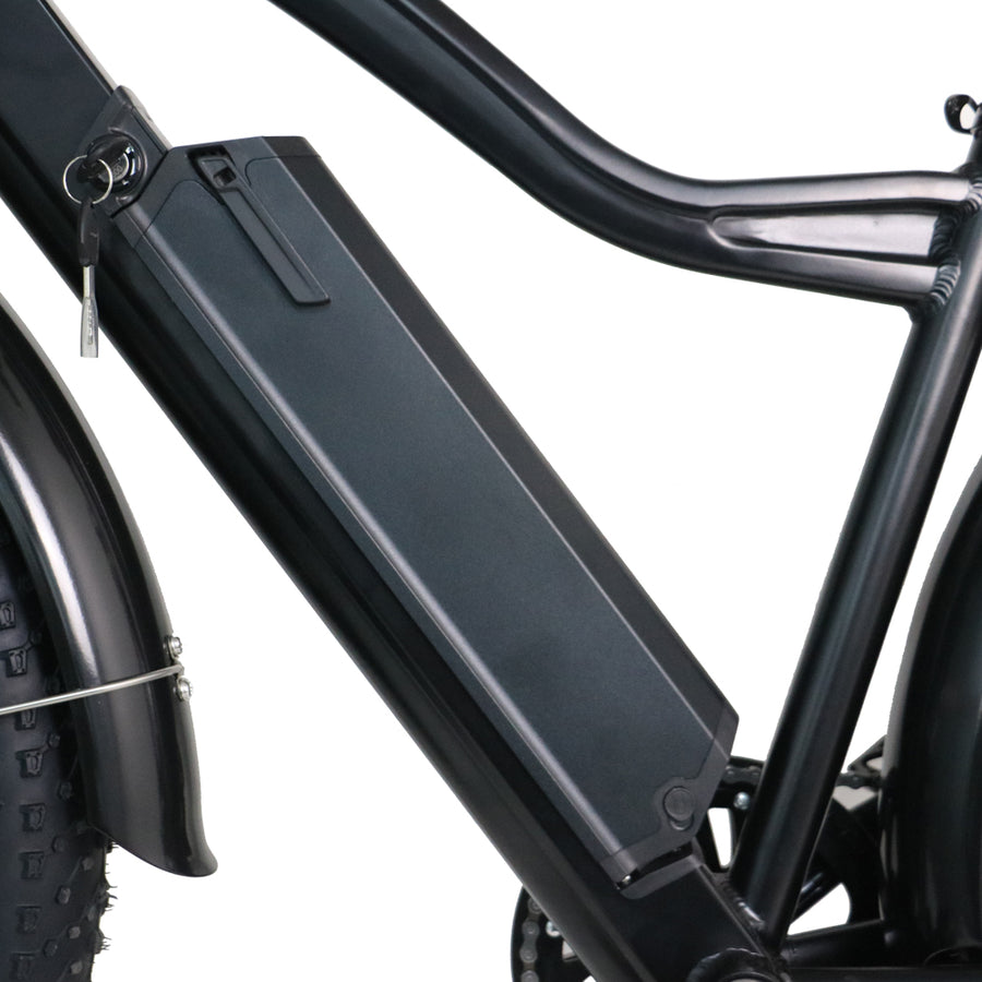 all wheel drive electric fat bike