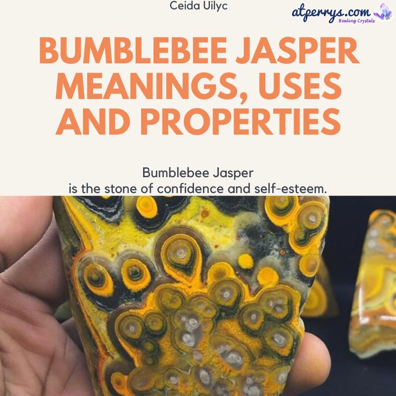 bumblebee jasper stone