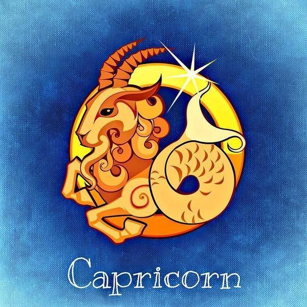 ♑Capricorn Birthstones: Meanings, Lucky Stones for Men and Women ...