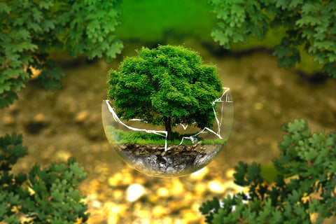 earth in a glass