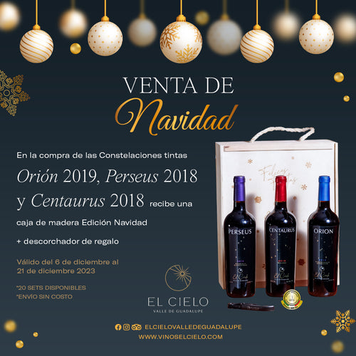 Venta-de-navidad.jpg__PID:7d7b6f25-0d8e-4f77-87d2-7f083bd25143