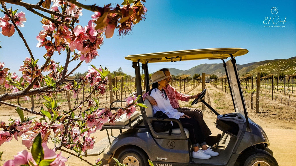 Renta de Carro de Golf Vinos El Cielo