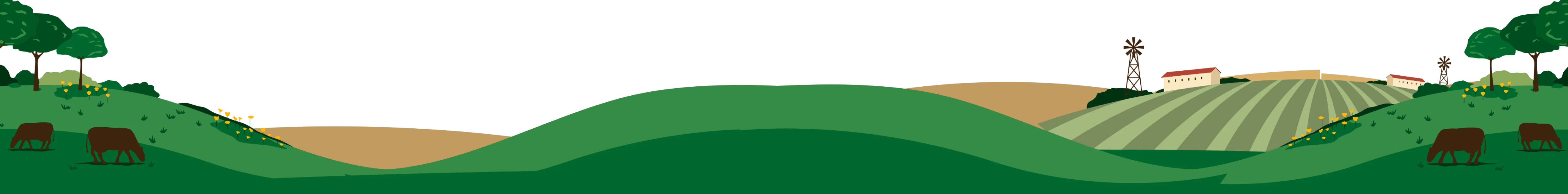 Full-Width Image