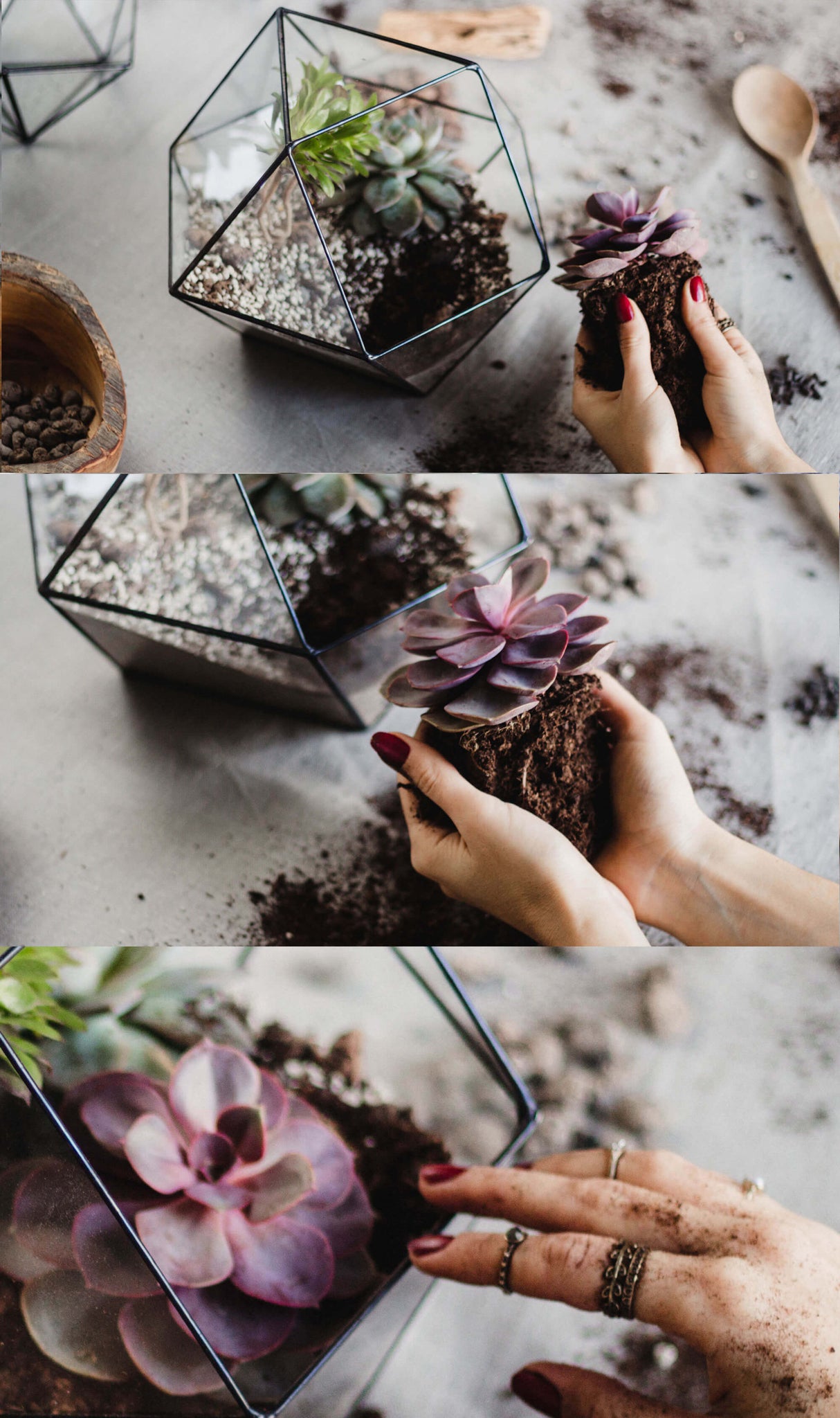 how to plant a terrarium