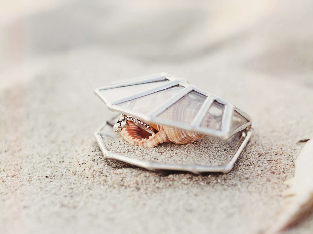 scallop shell ring box