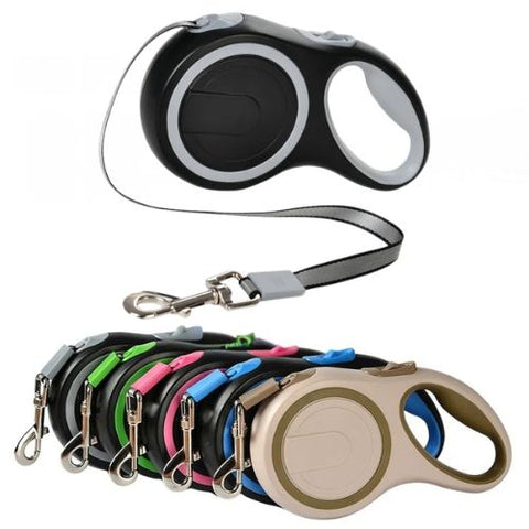 Correa extensible para perro de 5m y 8m