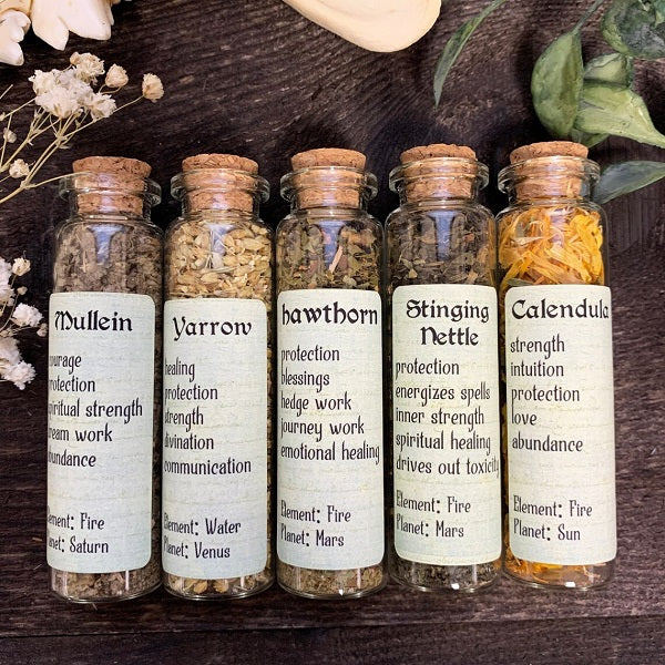 1.5 Oz Herbal Bottles Dried Herb Vial Witchcraft Herbs Witches Apothecary  Herbal Tea Spell Supplies Loose Incense H 