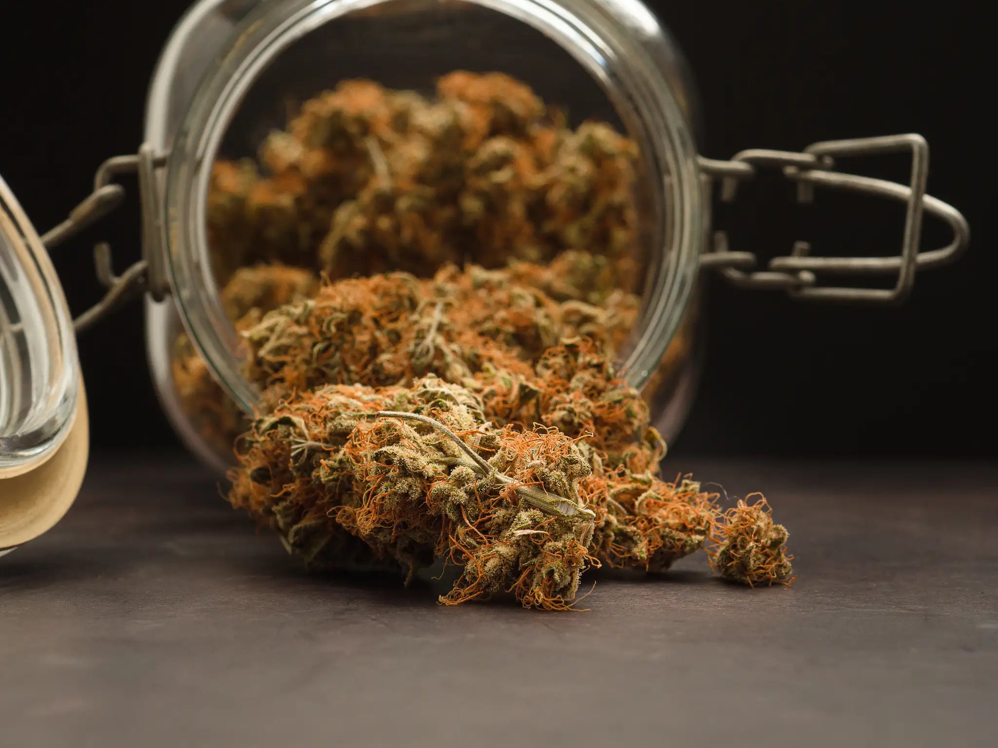 cannabis fermentation in einem glas