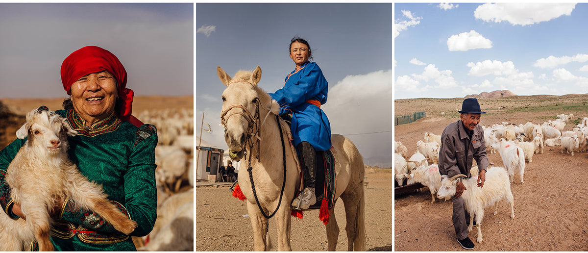 Cocoa Cashmere Farm