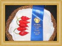 Pepper Joe's Ghost Pepper takes top honors at the Iowa State Fair.